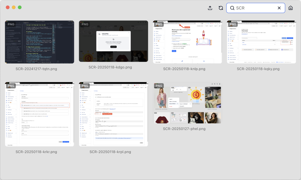 Search Functionality